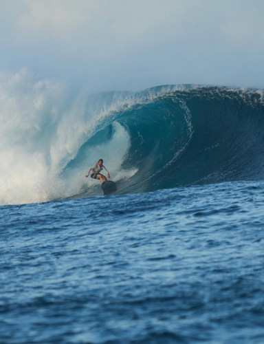 DAMIEN HOBGOOD